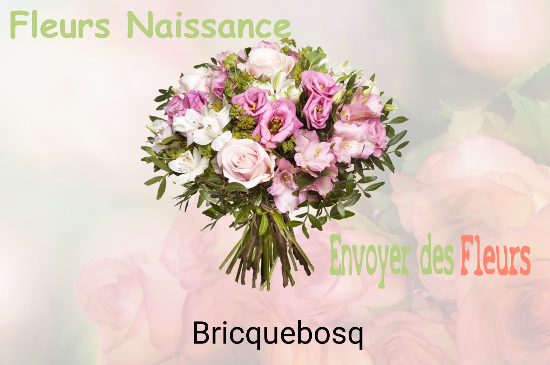 Bouquet de fleurs de naissance livré à Bricquebosq
